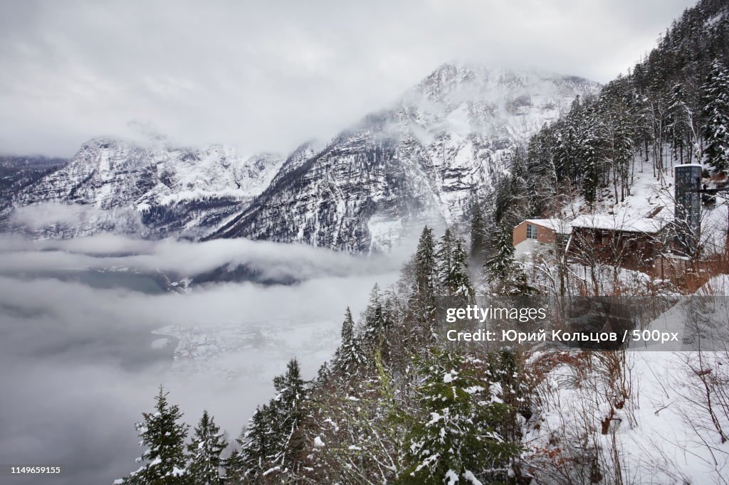 Winter Scene