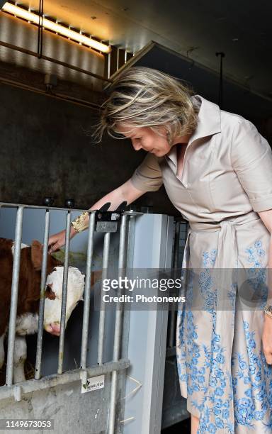 Bezoek van Koningin Mathilde aan twee landbouwbedrijven in het zuiden van de provincie Limburg - Visite de la Reine Mathilde aux deux exploitations...