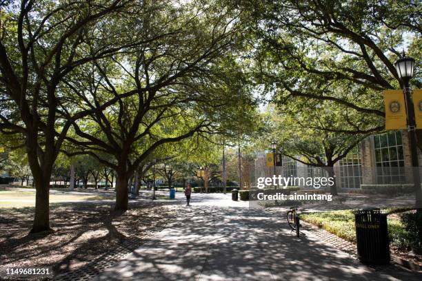 a female student walking in the campus of southwestern university - georgetown imagens e fotografias de stock