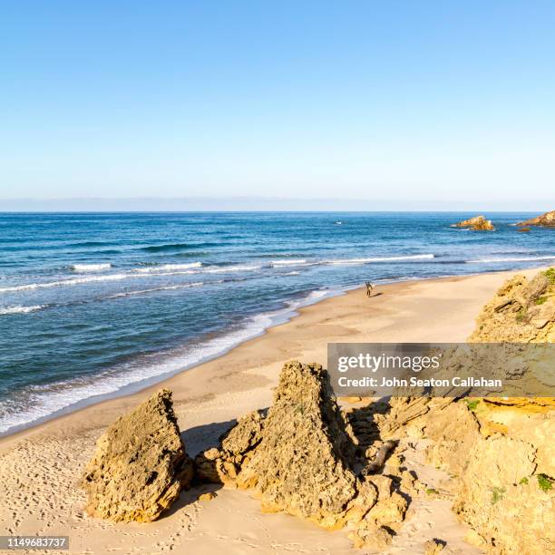 tunisia, surfer on a beach of the mediterranean sea - tunisia surfing one person stock pictures, royalty-free photos & images