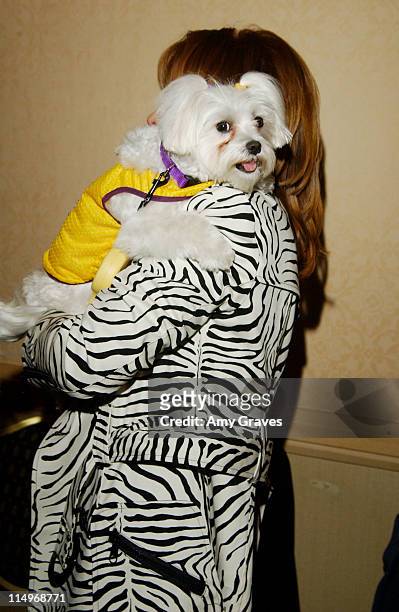 Jeannie Buss' dog Princess Kajo dressed as a L.A. Lakers