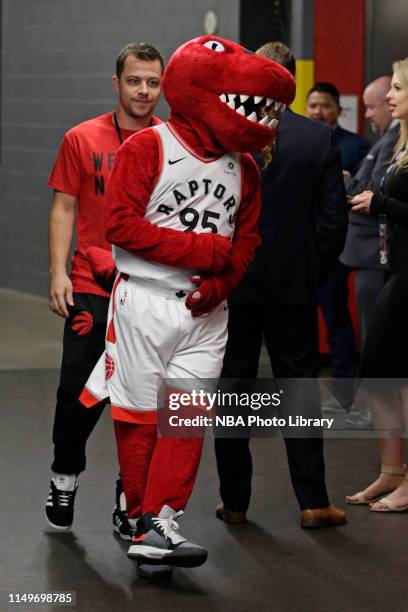 Riverside Raptors Rvc Mascot 12,205 Toronto Raptors Mascot Stock Photos, High-Res Pictures, and ...