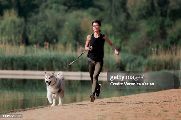 girl on a morning run with her dog - malamute stock-fotos und bilder