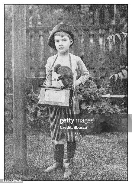 antique photo: organ grinder - organ grinder monkey stock illustrations