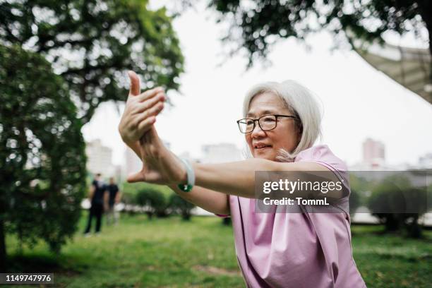 taiwanese lady staying fit with tai chi at the park - tai chi imagens e fotografias de stock