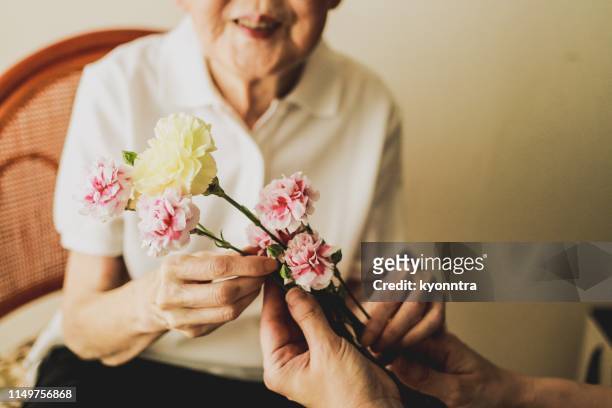 happy mother's day - chinese mothers day stock pictures, royalty-free photos & images