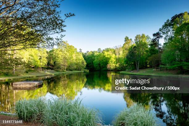 nature image - cary north carolina stock pictures, royalty-free photos & images