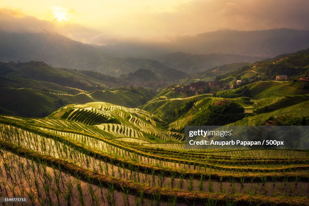 Longji Rice Terrace