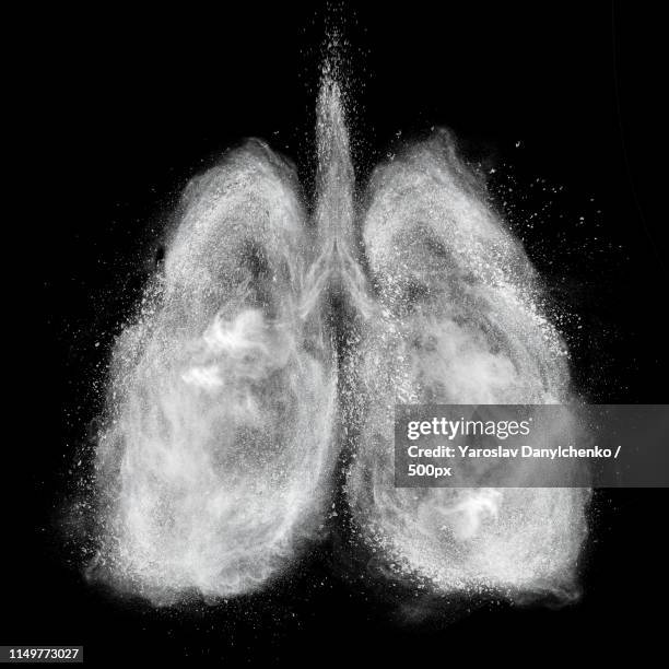 lungs made of white powder explosion isolated on black - lungs stock pictures, royalty-free photos & images