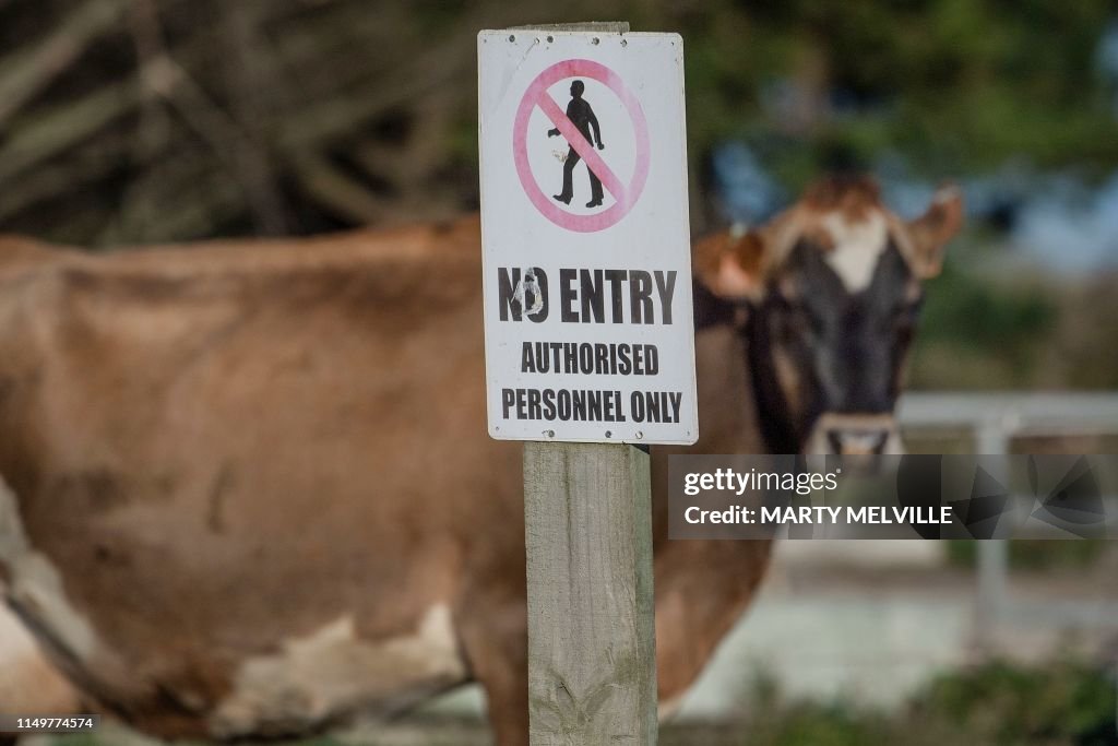 NZEALAND-AGRICULTURE-CRIME-RUSTLERS