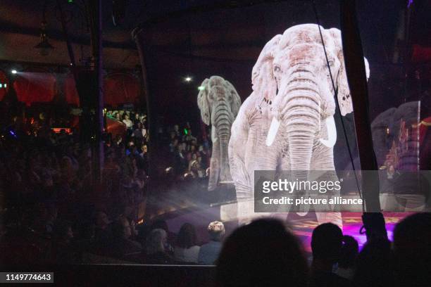230 Animal Free Circus Photos and Premium High Res Pictures - Getty Images