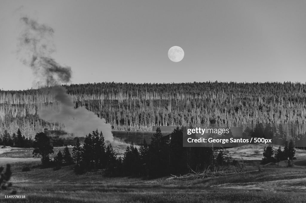 Yellowstone