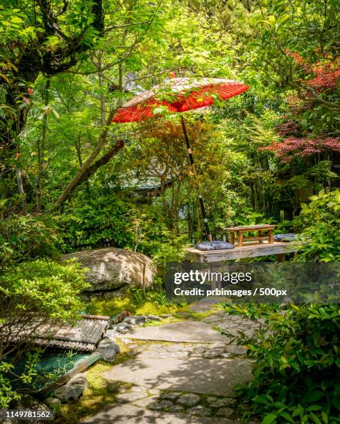 tea house restaurant garden - tea room fotografías e imágenes de stock