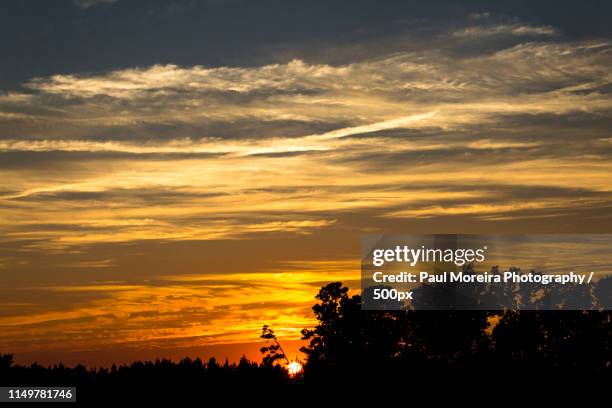 ride the sunset - cary north carolina stock pictures, royalty-free photos & images