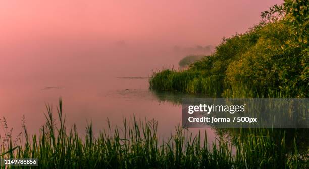 misty morning - cinematic stock pictures, royalty-free photos & images