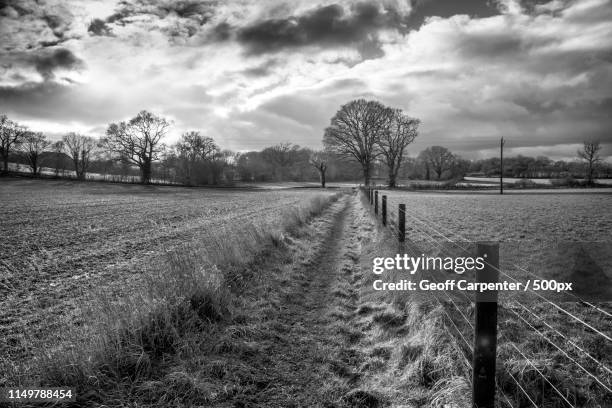 winter walk - geoff carpenter stock pictures, royalty-free photos & images