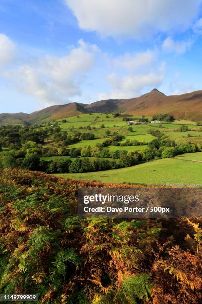 autumn view through the newlands valley, allerdale, lake distric - north west province south africa stock pictures, royalty-free photos & images