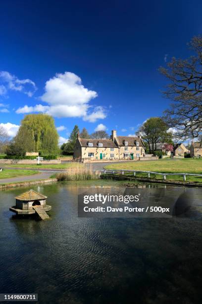 spring, the village green at barrowden village, rutland county - japanese zelkova stock pictures, royalty-free photos & images