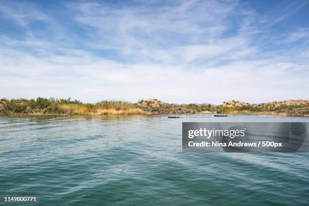 lake havasu - lake havasu stockfoto's en -beelden