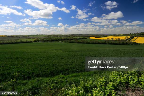 summer view over the river welland valley, harringworth village - northants stock pictures, royalty-free photos & images