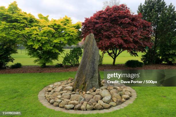 spring flowers in fitz park, keswick town, lake district nationa - north west province south africa stock pictures, royalty-free photos & images