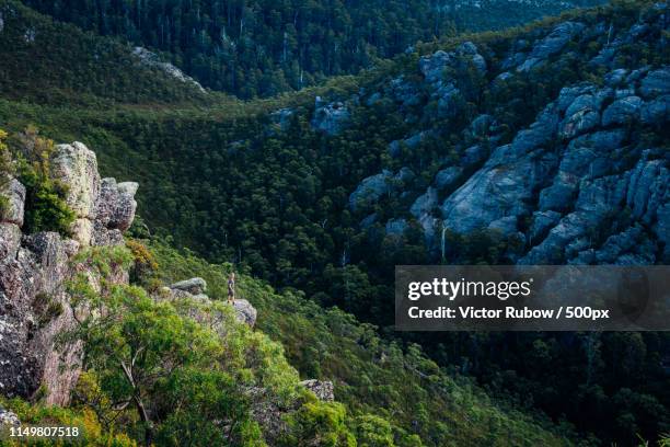 tasmanian wilderness - tasmanian wilderness stock pictures, royalty-free photos & images
