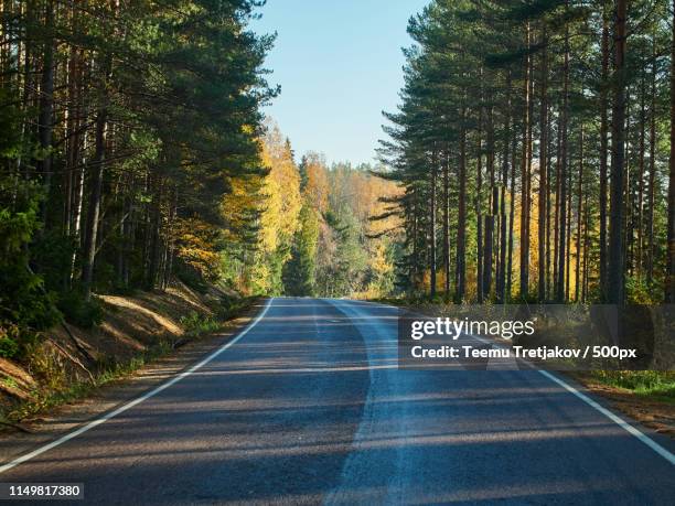 bright fall colors by the autumn road in finland - teemu tretjakov stock pictures, royalty-free photos & images