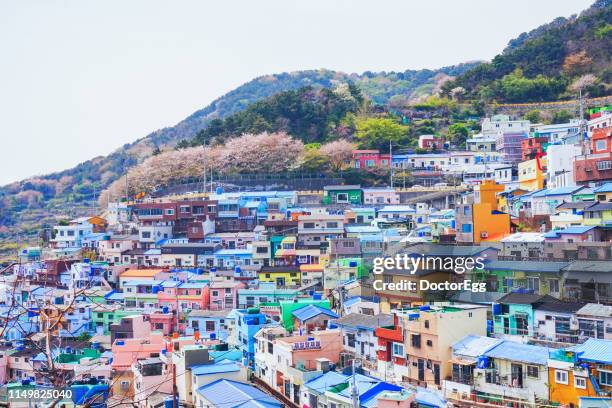 gamcheon culture village, busan, south korea - busan stockfoto's en -beelden