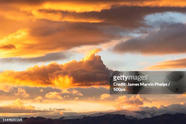 january gold - spring mountains stock pictures, royalty-free photos & images