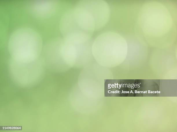 close-up unfocused lights in the shape of circles of light green background. - green backgrounds stock pictures, royalty-free photos & images