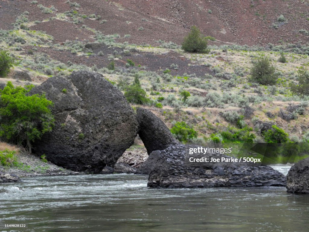 Nature Image