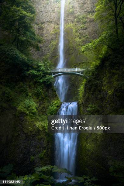 long - yosemite stockfoto's en -beelden