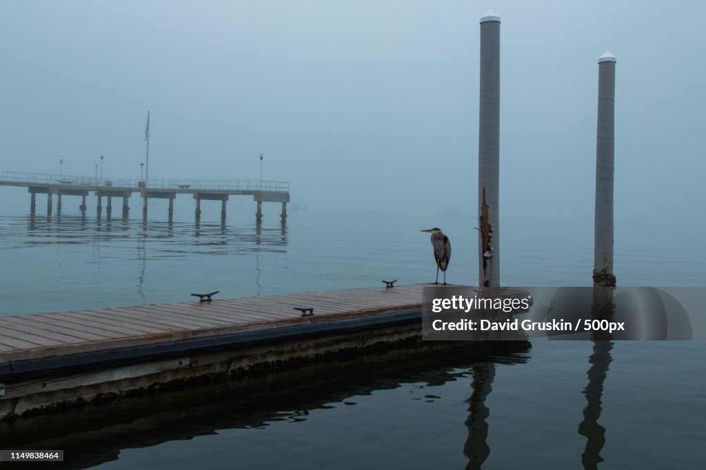 It Was A Foggy Morning