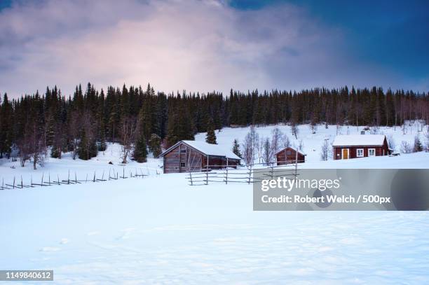 red cabins with snow - jamtland stockfoto's en -beelden