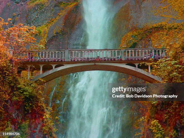 multnomah falls - columbia river gorge oregon photos et images de collection