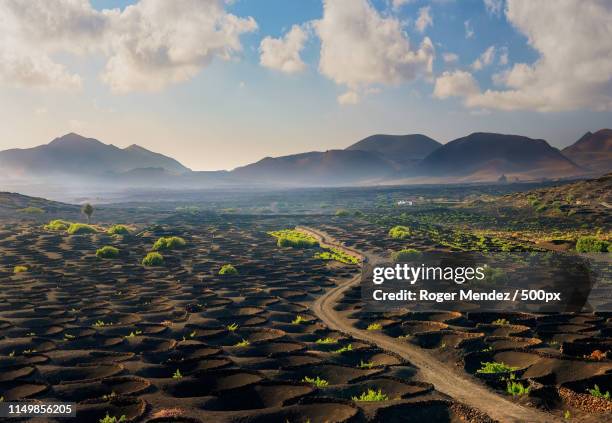 la geria with timanfaya national park at sunset - timanfaya national park stockfoto's en -beelden