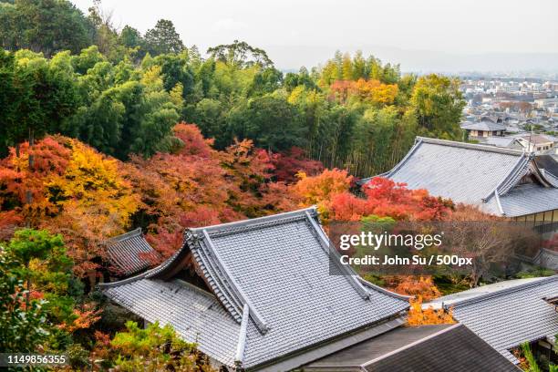 japanese garden enk-ji (yen ji) - leaf on roof stock pictures, royalty-free photos & images