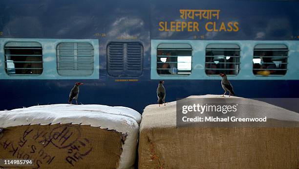 railway platform, agra, india - agra stock pictures, royalty-free photos & images