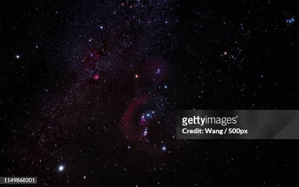 constellation - orionnebel stock-fotos und bilder
