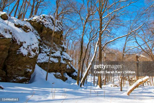 rocky bluffs in iowa state park winter - iowa ledges state park stock pictures, royalty-free photos & images