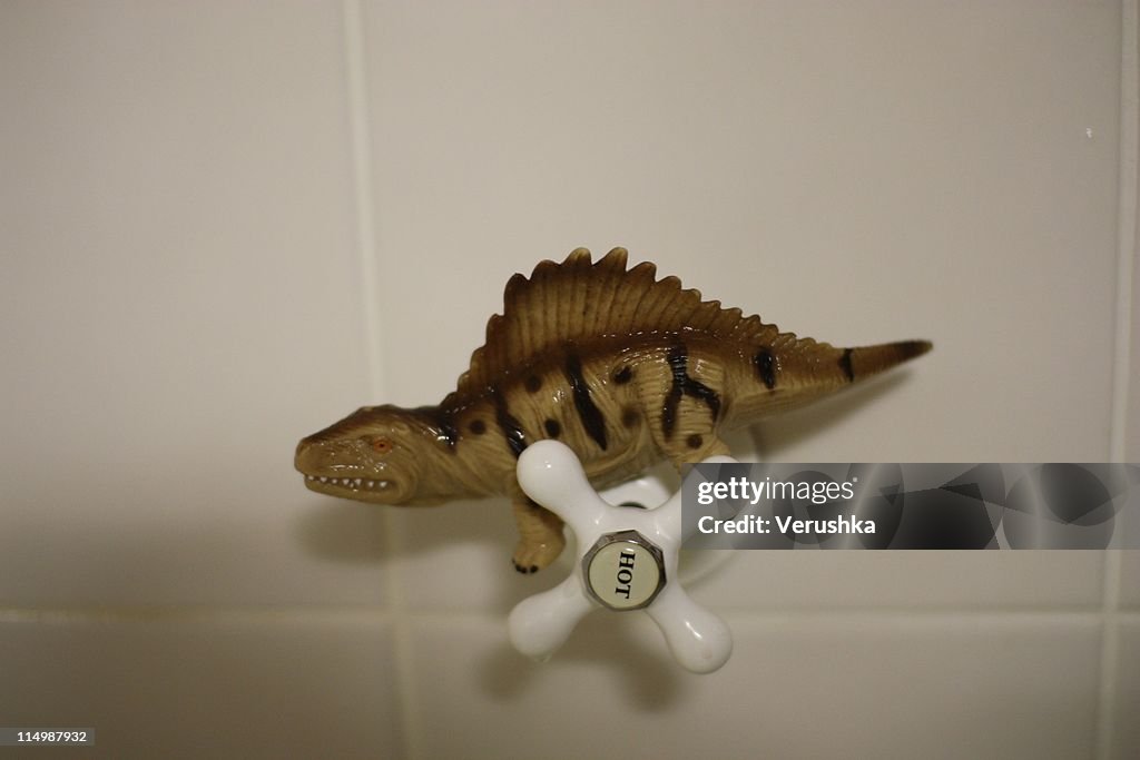 Dinosaur in Shower