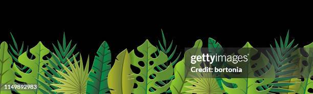 tropical leaf banner - monstera leaf 3d stock illustrations