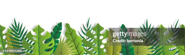 tropical leaf banner - palm trees clipart stock illustrations