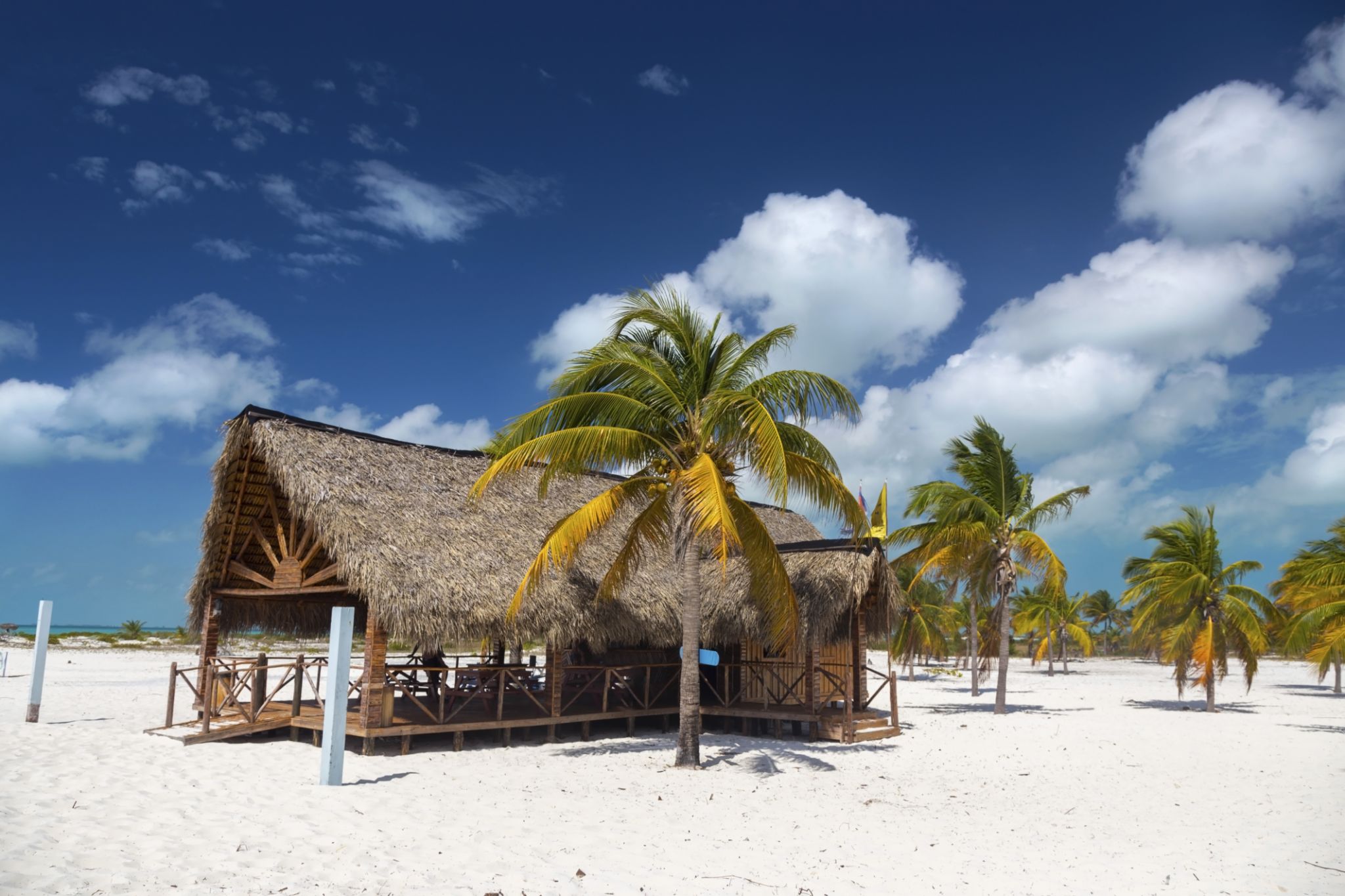 cuban bar