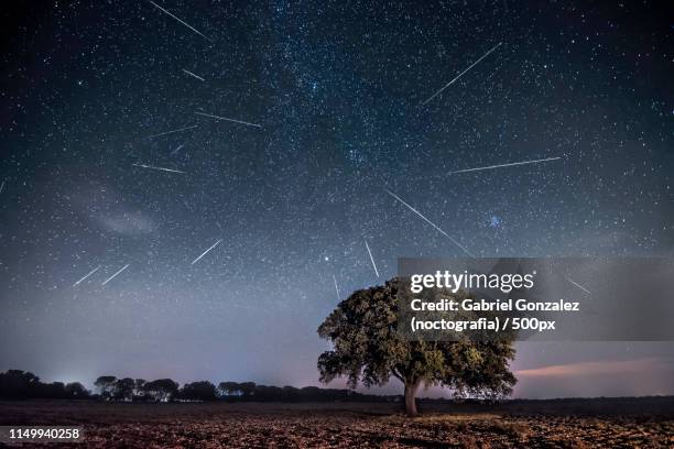 perseids - perseiden stockfoto's en -beelden
