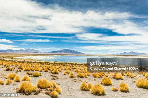 incredible place - copiapo stock pictures, royalty-free photos & images