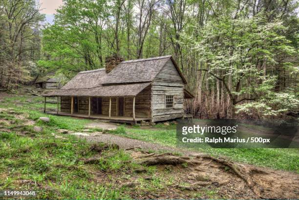 cabin - cabin in the woods stock-fotos und bilder