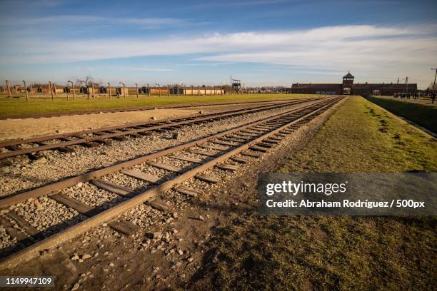 arbeit macht frei (work makes you free) - auschwitz stock pictures, royalty-free photos & images