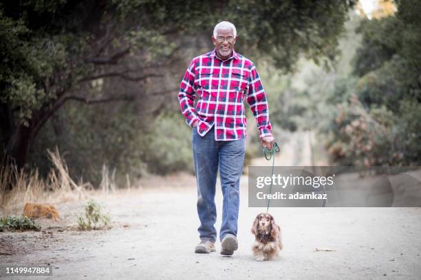 senior black man walking his dog - older people walking a dog stock pictures, royalty-free photos & images