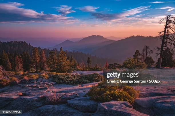 sunset from beetle rock - sequoia national park stock pictures, royalty-free photos & images